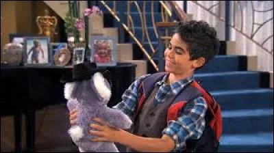 Quel animal est la peluche de Luke ?