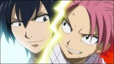 Qui arrête Natsu et Grey lorsqu'ils se battent ?
