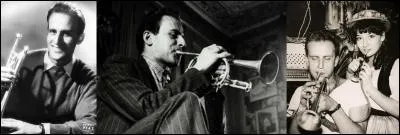 Cet ingénieur nous a donné de nombreux écrits. Il meurt d'une crise cardiaque due à une mauvaise adaptation (selon lui) d'un de ses romans au cinéma. Il est l'auteur de cette citation : 
« Ah ! Que de volumes n'écrirait-on point si l'on voulait dénoncer les ravages causés par la connerie absolue ».
Qui est ce « touche-à-tout » ?