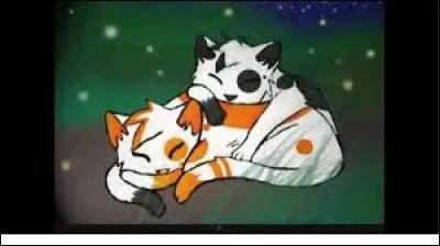 Qui sont ces deux chats ?