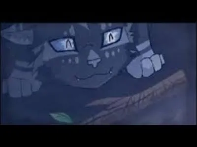 Qui est ce guérisseur ?