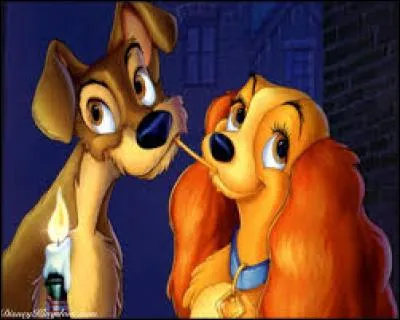 De quel dessin animé s'agit-il?