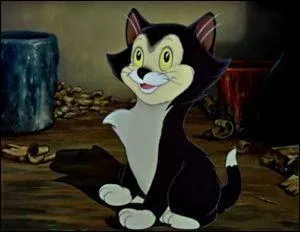 Dans quel film voit-on ce chat ?