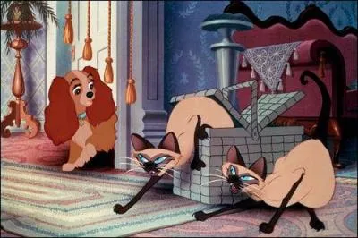 Comment s'appellent ces clbres siamois dans 'la Belle et le Clochard' ?