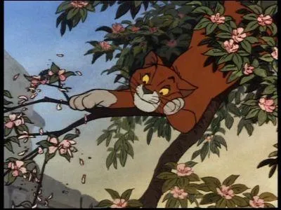 Dans quel film voit-on ce chat ?