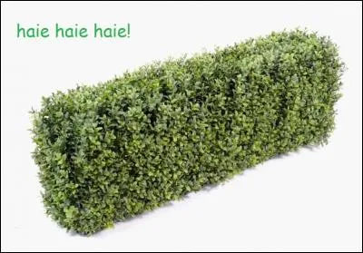 Le mot commence par Contre :