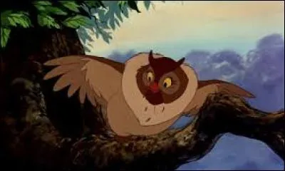 Rox vit une belle vie à la ferme, il se fait des amis et parmi eux, une chouette appelée...