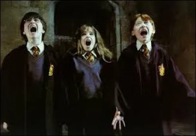 Tiens, tiens. Harry, Ron et Hermione semblent un tantinet effrayés. Pourquoi ?