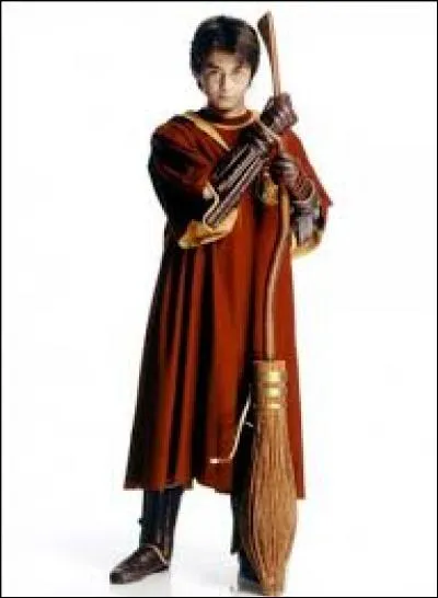 À quel poste Harry joue-t-il dans l'équipe de Quidditch ?