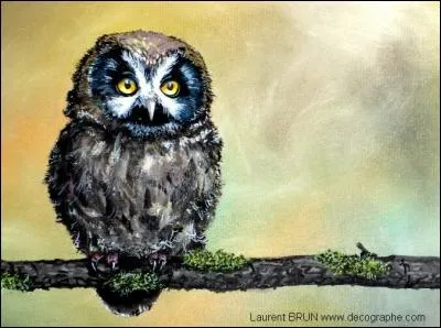 Dans la chanson de Ferrer "Le téléfon", Marie-Thérèse elle est obèse, Noémie est très jolie, mais qui est très chouette ?