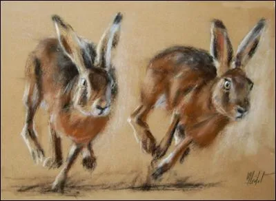 Vouloir régler plusieurs problèmes en même temps !