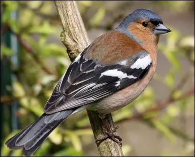 Avoir le sourire aux lèvres !