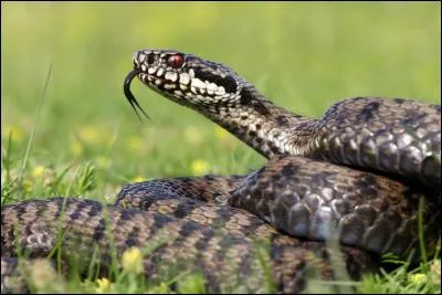 Dire du mal, médire !