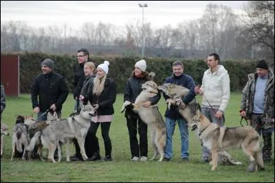 Le jour décline et la nuit s'avance, ou bien le contraire !