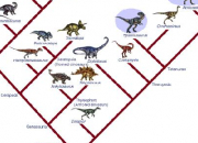 Quiz Dinosaures et informations les concernant