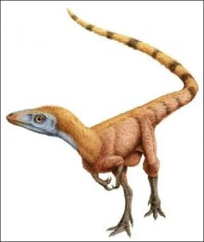 Dans quelle formation trouve-t-on beaucoup de dinosaures comme Sinosauropteryx (le premier trouvé dans cette formation) ?