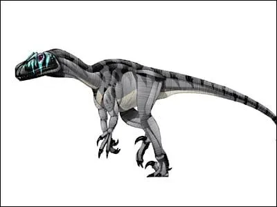 Que signifient les lettres N, O, et A dans Noasaurus leali ?