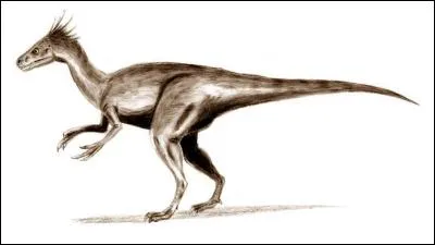Ornitholestes est-il un dinosaure ?