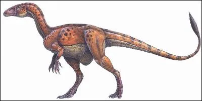 Que signifie "Sin" dans Sinornithosaurus, Sinraptor, 
Sinosauropteryx, ... ?