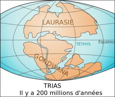 Comment s'appelle la mer du Trias avec la Panthalassa ?
