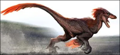 Dans quel état des Etats-Unis a-t-on découvert l'Utahraptor ostrommaysorum (voleur de l'Utah) ?