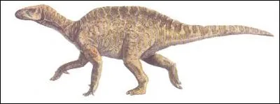 Sur quelle île anglaise a-t-on découvert le Vectisaurus ?