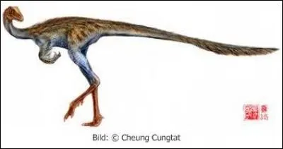 Existe-t-il des dinosaures avec un nom en X ?