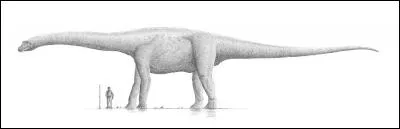 Quand a vécu le Bruhathkayosaurus matleyi ?