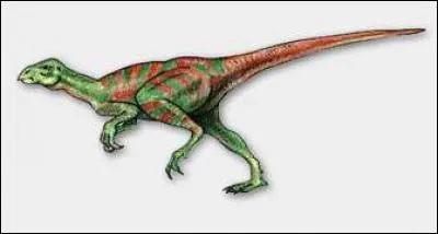 De qui Fabrosaurus australis tient-il son nom ?