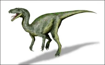 D'où tire son nom Gojirasaurus quayi ?