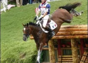 Quiz Le quiz du galop 4