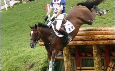 Quiz Galop 4