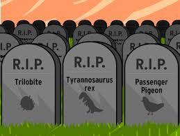 Quiz Animaux