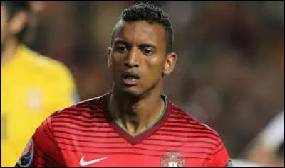 Combien de buts Nani a-t-il lors de cette compétition ?