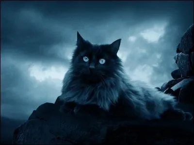 Qui a écrit "Les contes bleus du chat perché" ?