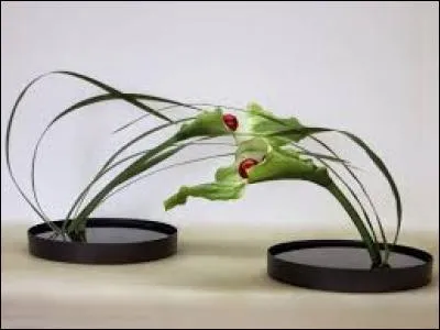 Bergerie, en Provence :