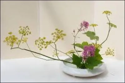 En apiculture, nouvel essaim qui sort de la ruche :