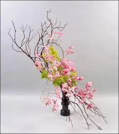 Gamin de Bruxelles :