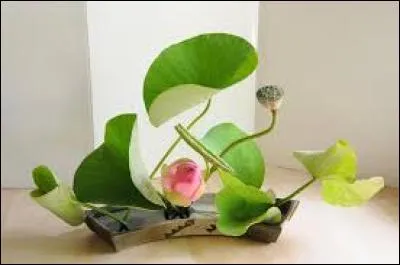 Aéroport faisant fonction de plaque tournante :