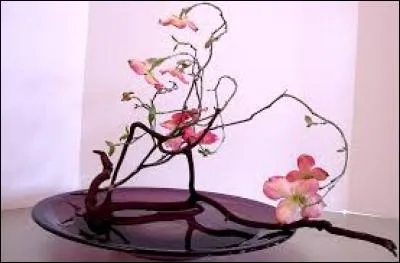 Terre émergée entourée d'eau :