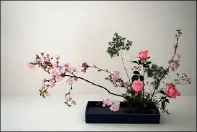 Classe un film dans la catégorie X :