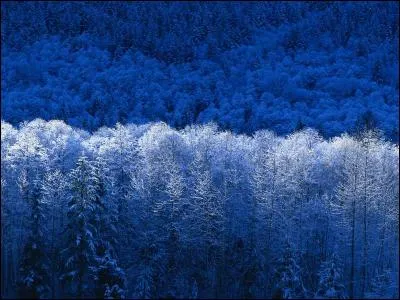 Pourquoi n'est-elle pas contente de ses vacances ?