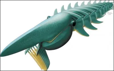 Aegirocassis benmoulae a-t-il réellement existé ?