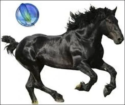 Combien existe-t-il de Galops ?