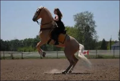 "Au galop" veut dire :