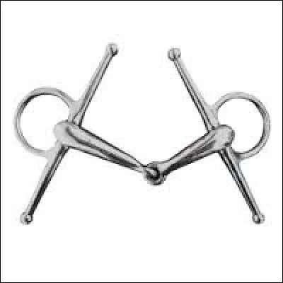 À quoi sert le mors ?