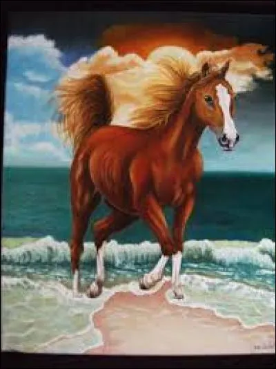 Combien de galops existe-t-il ?