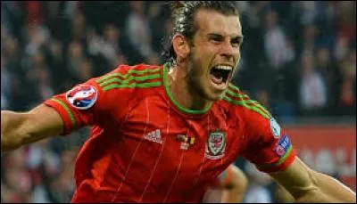 Combien de buts a-t-il lors de cet Euro ?