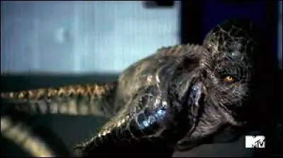 De la saison 1 jusqu'à la saison 5, combien y a-t-il eu de kanimas ?