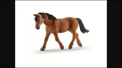 De quelle race est ce Schleich ?